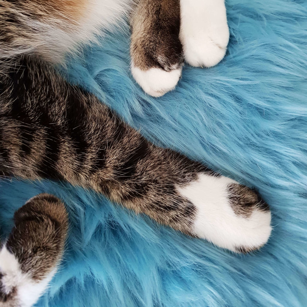 Cat Bed - NZ Sheepskin - Seafoam Blue - Kim Skins