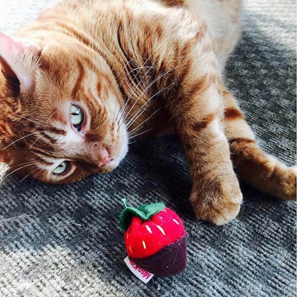 Organic Catnip Toy - Chocolate Dipped Strawberry - Miso Handmade