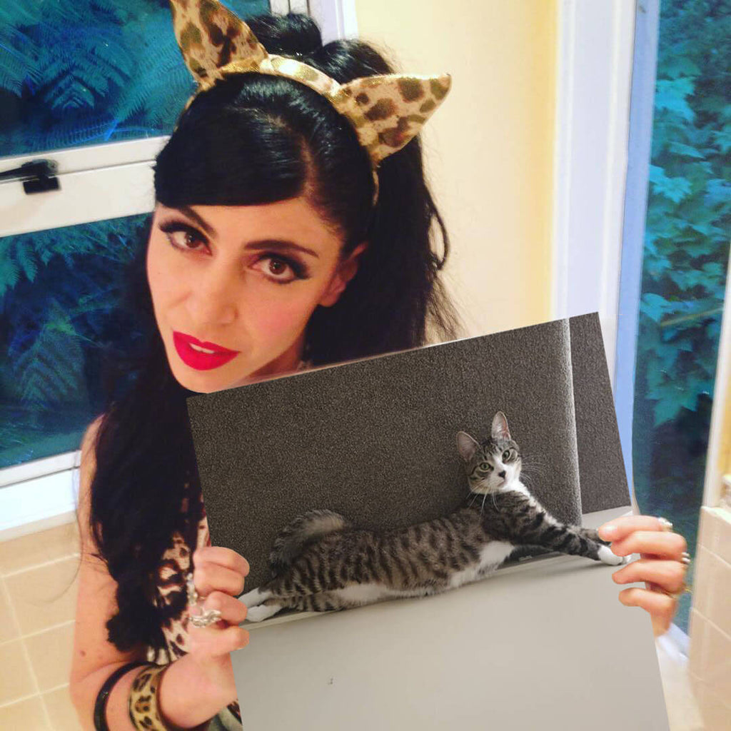 The Fang & Fur Sexy Kitty Competition Winner! - Fang & Fur