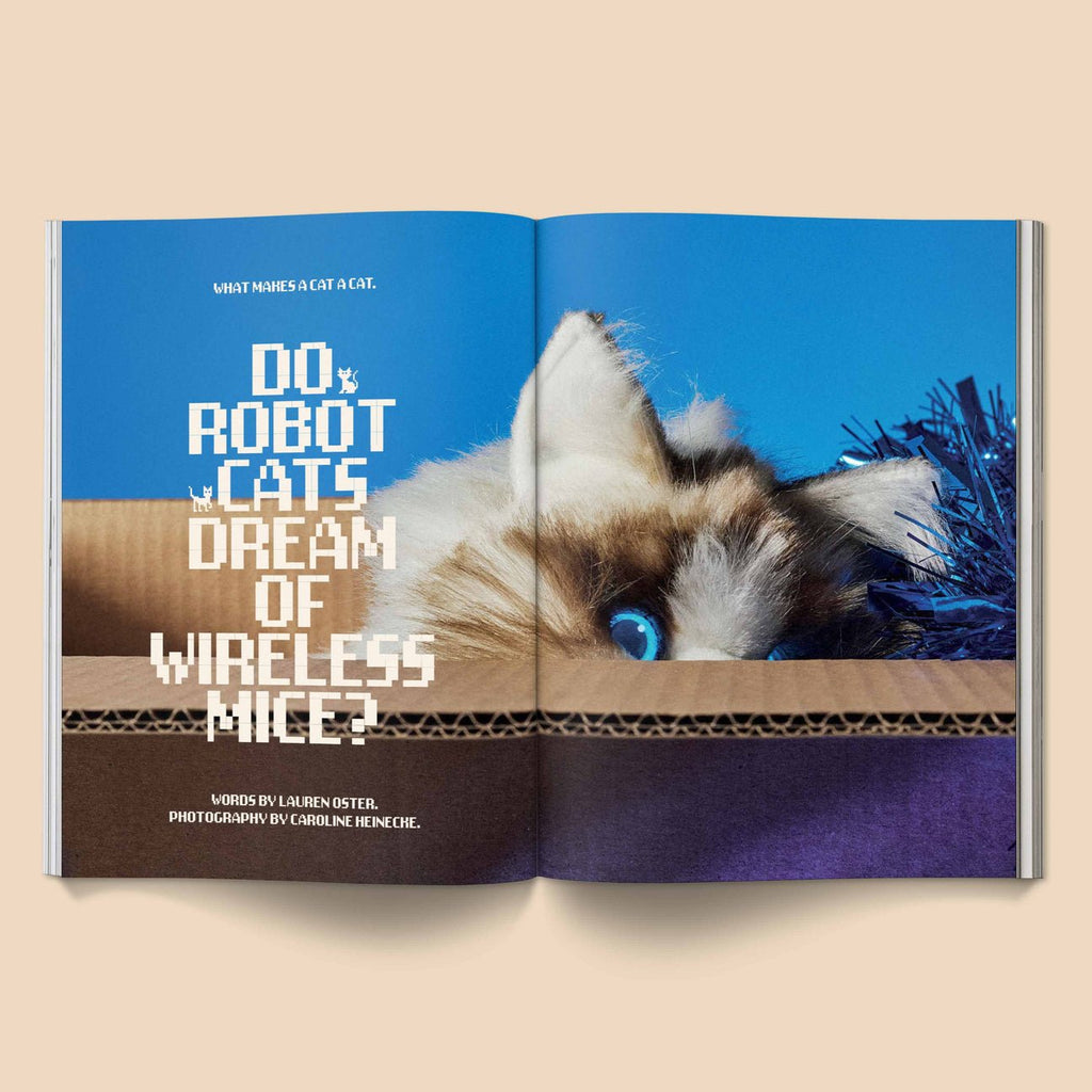 Catnip Magazine - Magnation