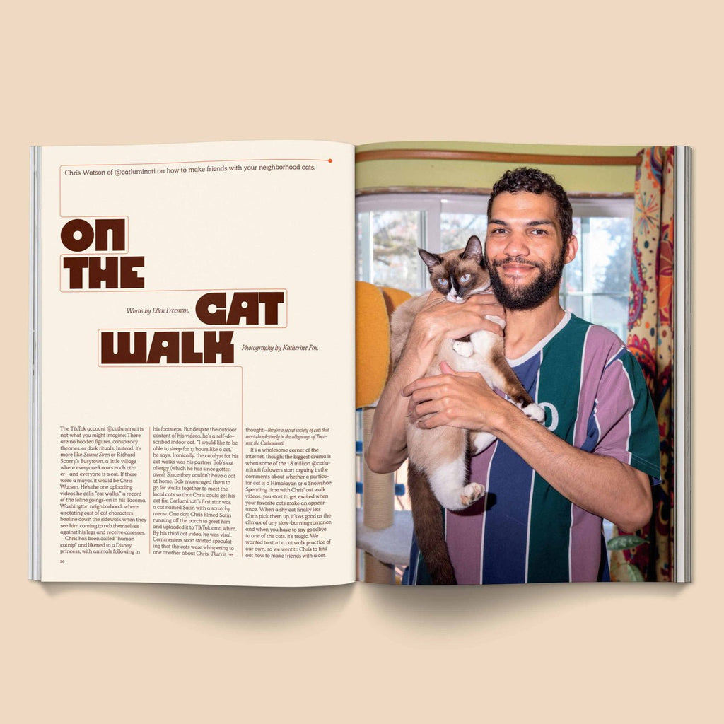 Catnip Magazine - Magnation