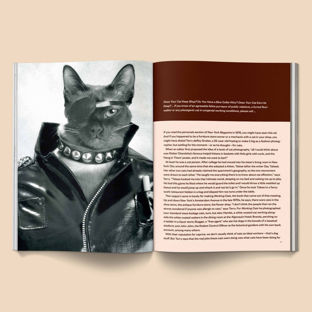 Catnip Magazine - Magnation