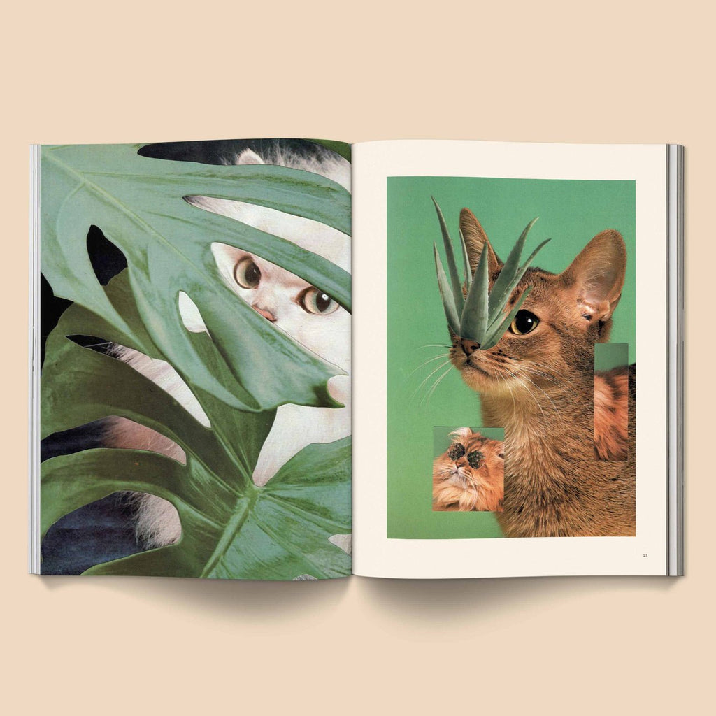 Catnip Magazine - Magnation