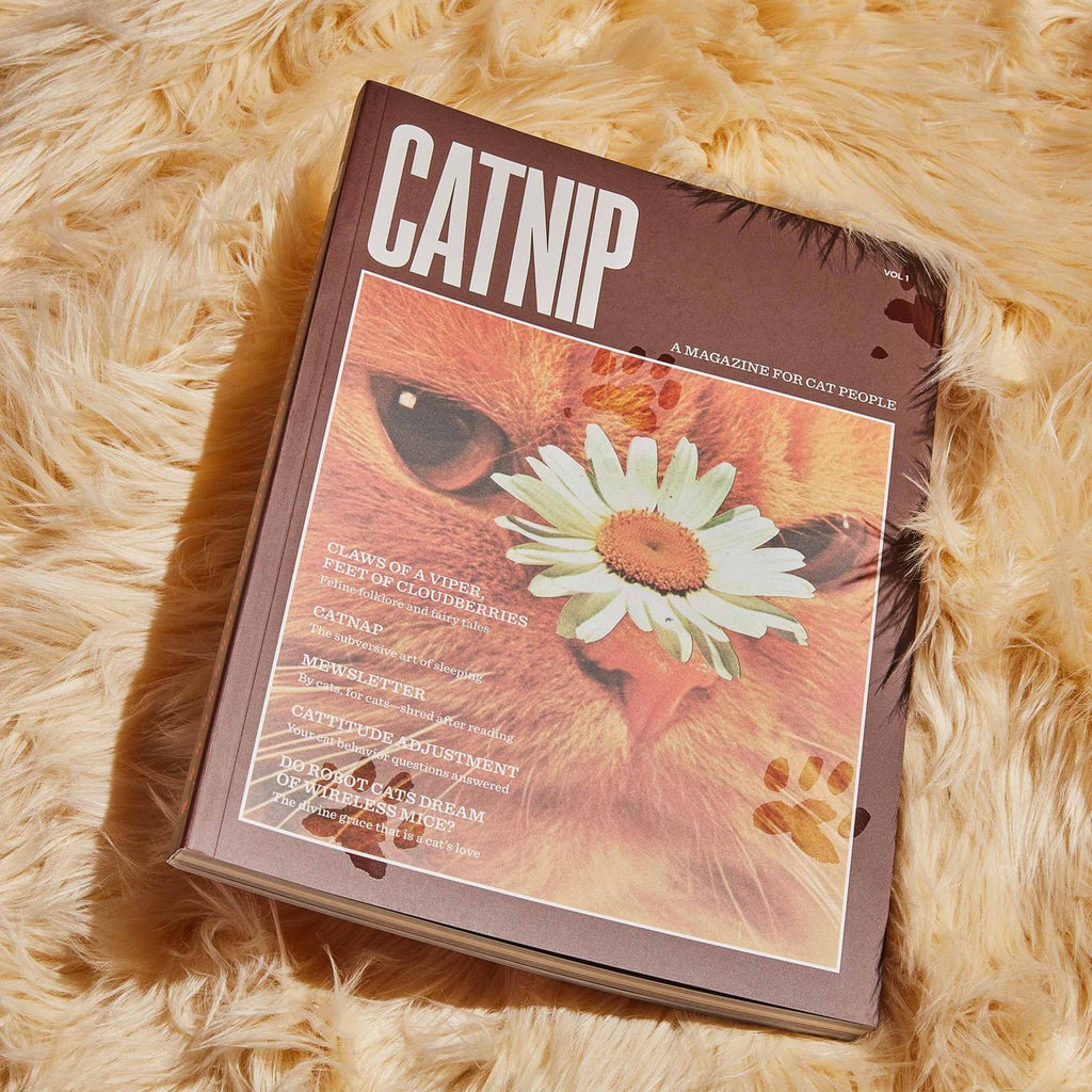 Catnip Magazine - Magnation
