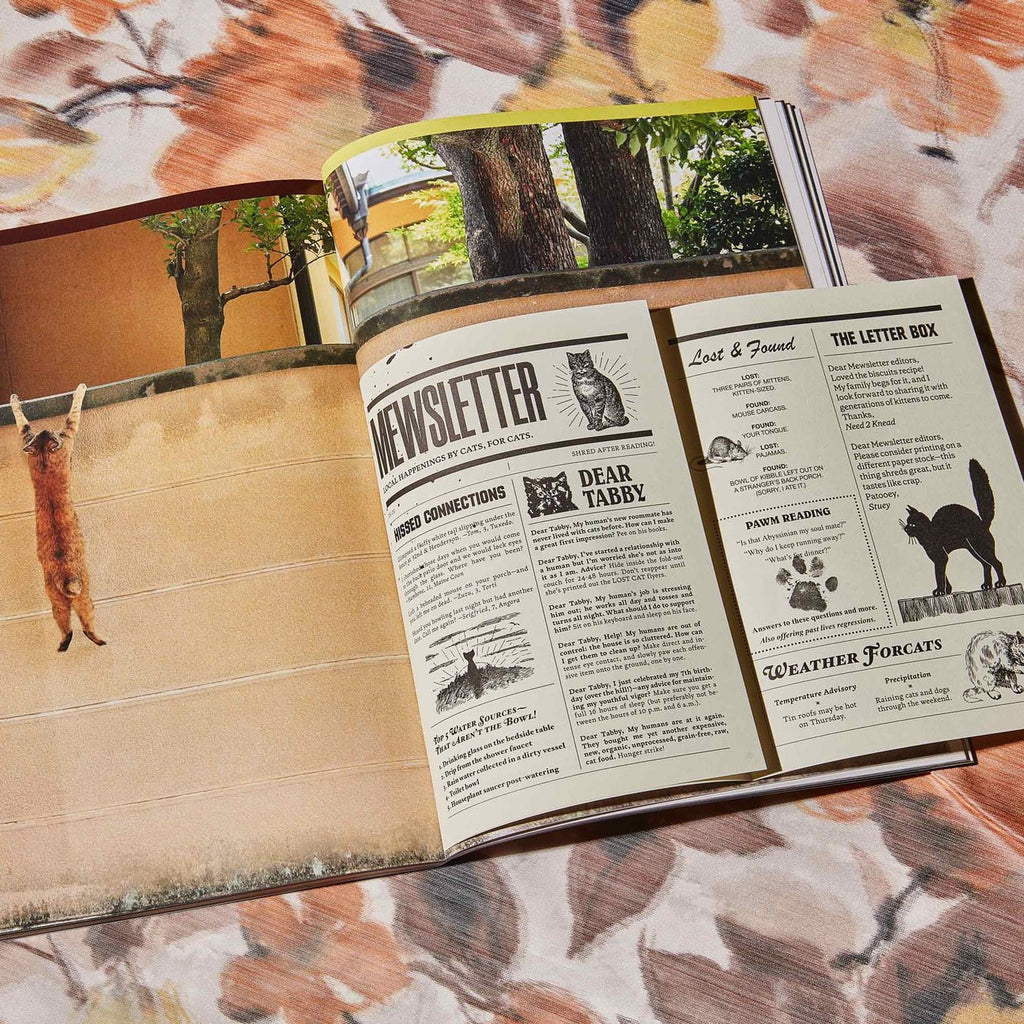Catnip Magazine - Magnation