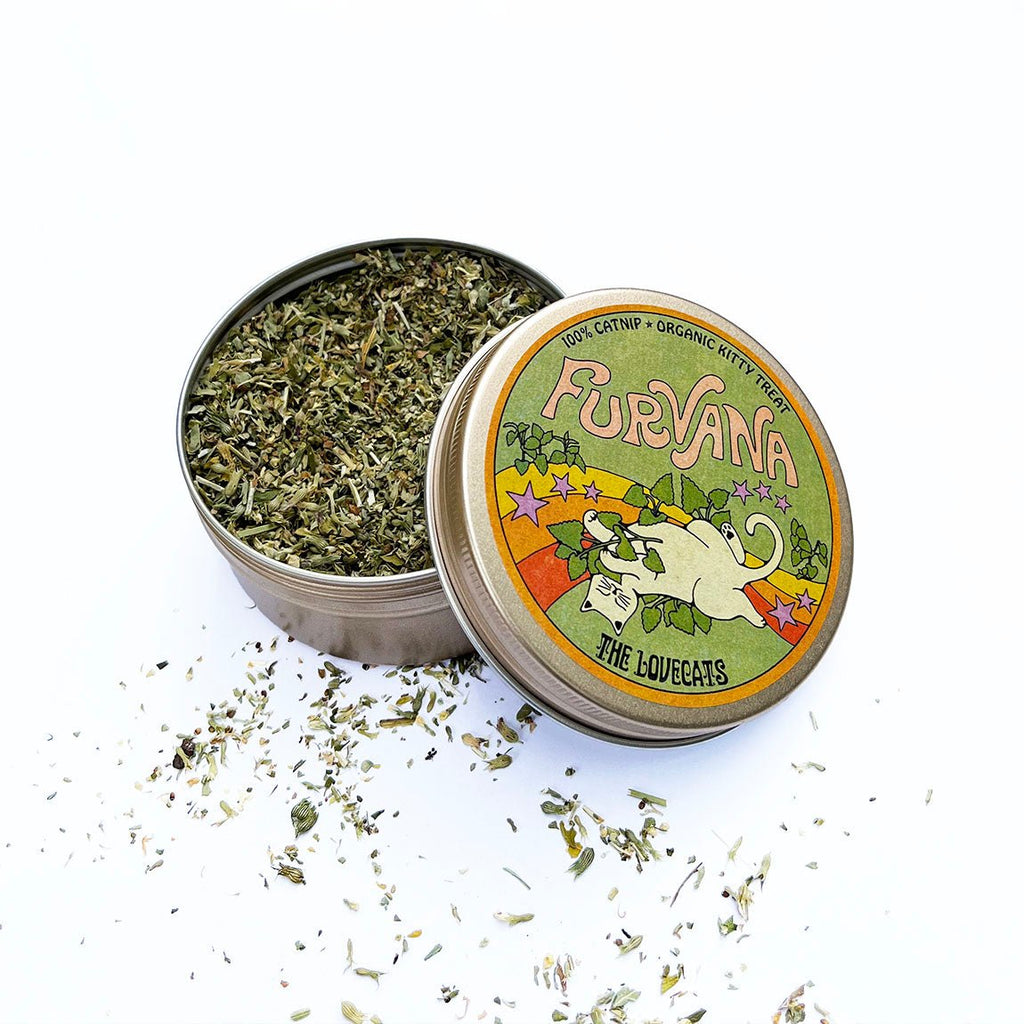 Furvana - Organic Catnip - Fang & Fur