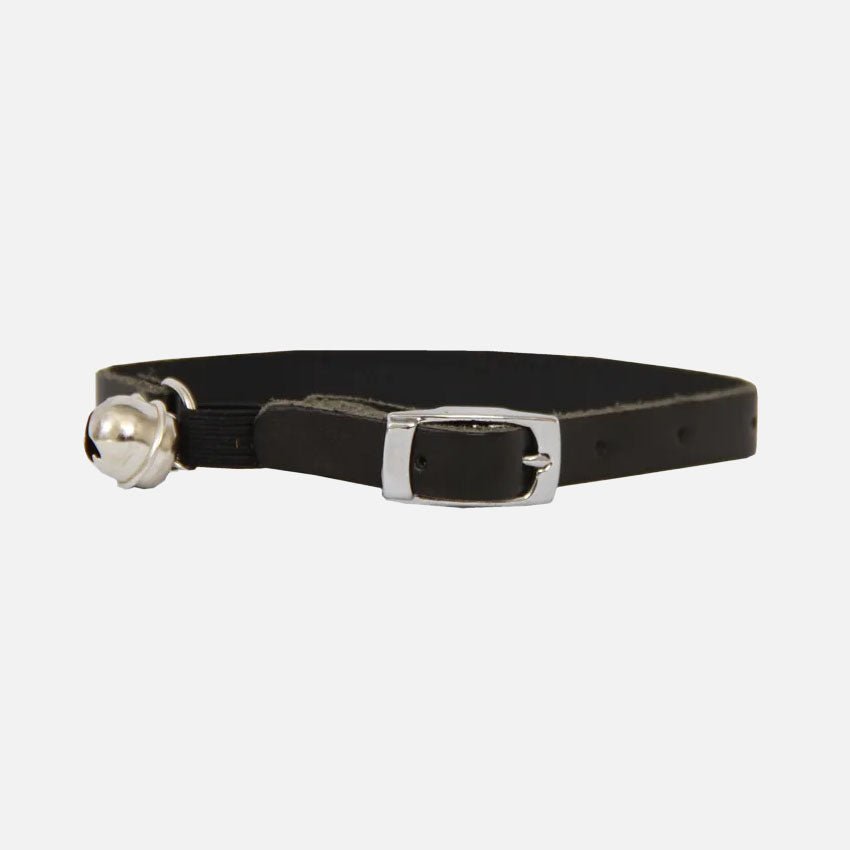 Leather Cat Collar - Biker Black - Fang & Fur