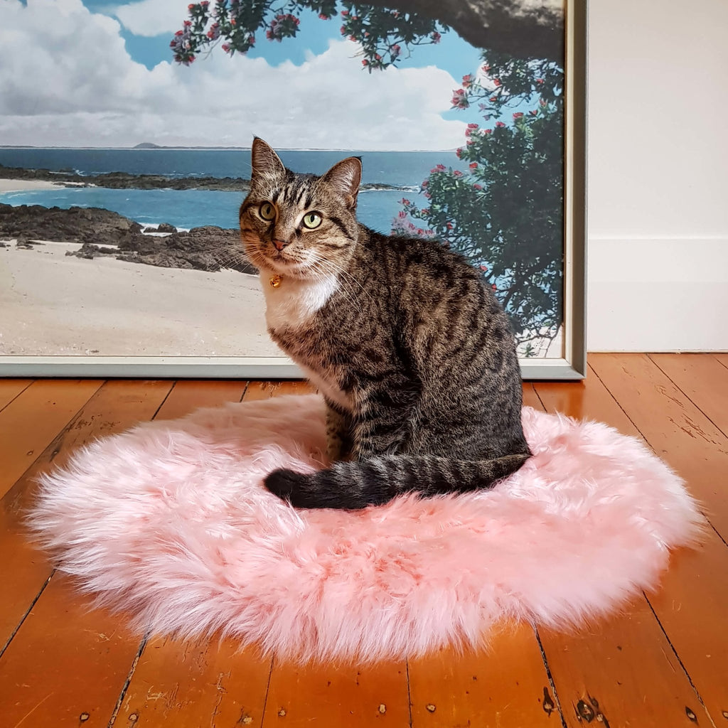 Cat Bed - NZ Sheepskin - Candyfloss Pink - Kim Skins