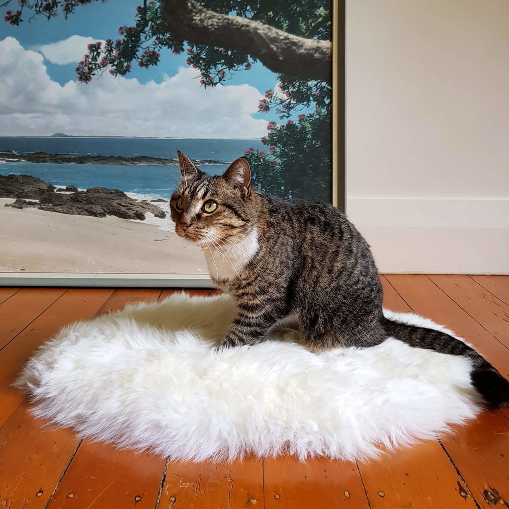 Cat Bed - NZ Sheepskin - Ivory - Kim Skins