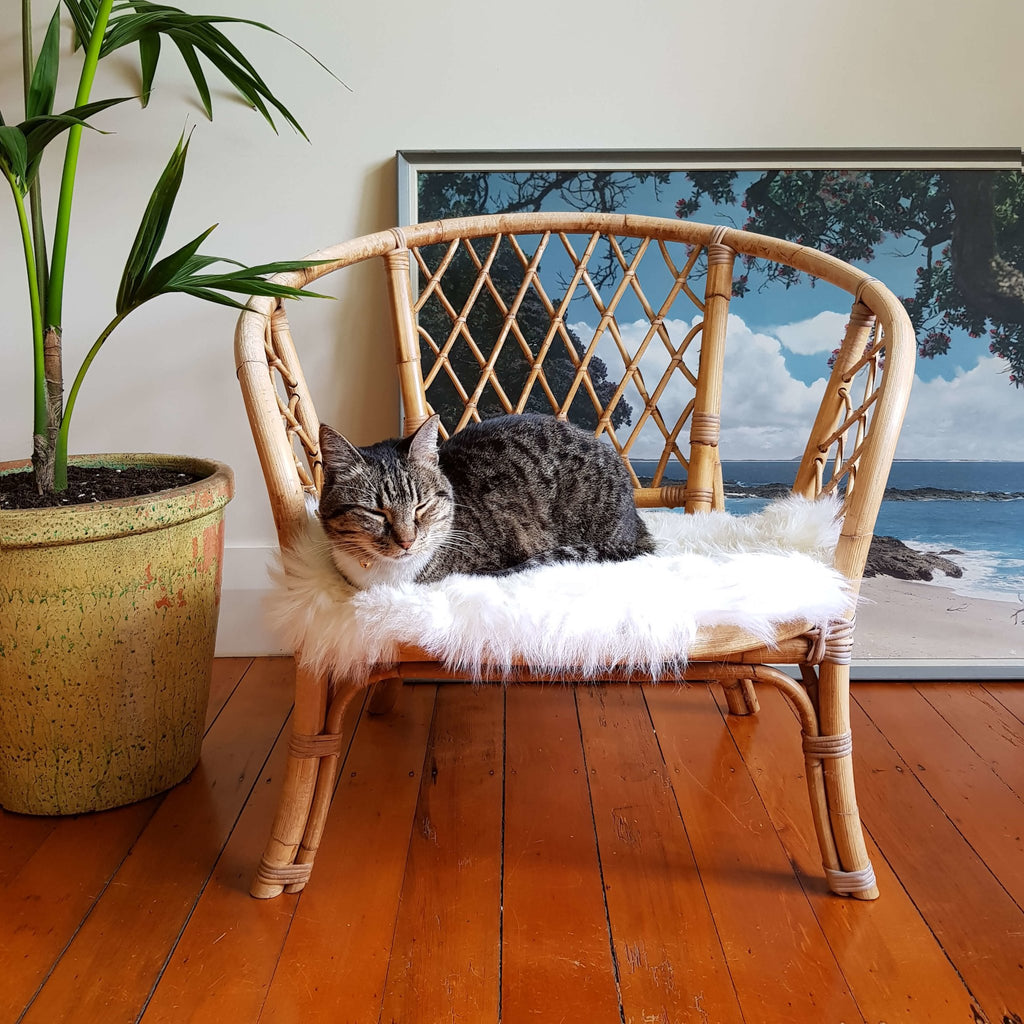 Cat Bed - NZ Sheepskin - Ivory - Kim Skins