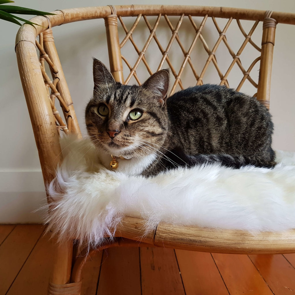 Cat Bed - NZ Sheepskin - Ivory - Kim Skins