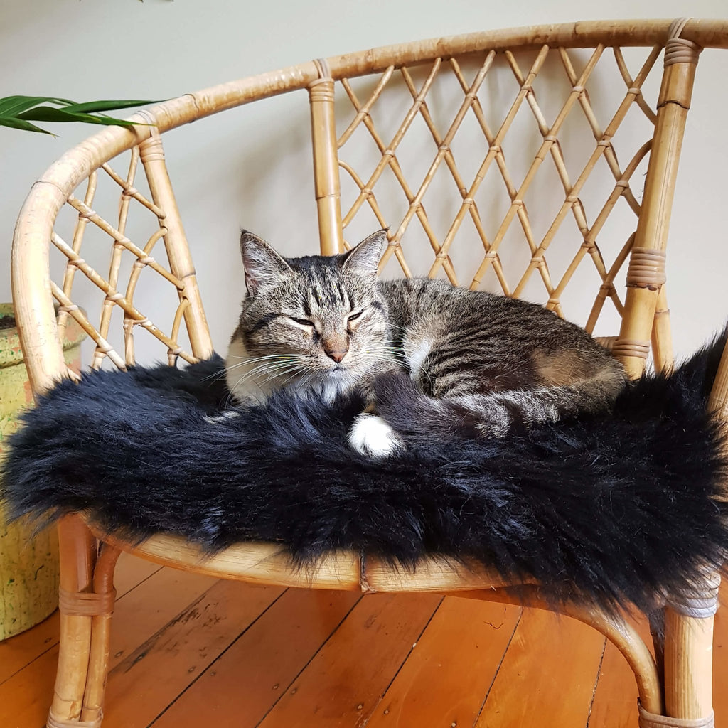 Cat Bed - NZ Sheepskin - Jet Black - Kim Skins