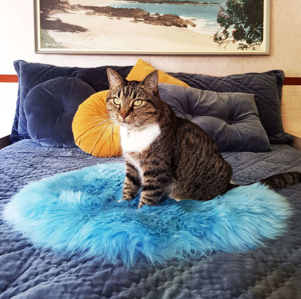 Cat Bed - NZ Sheepskin - Seafoam Blue - Kim Skins