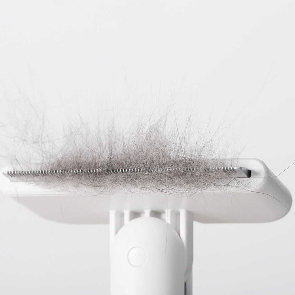 Cat Brush - Multi-Directional - Pidan