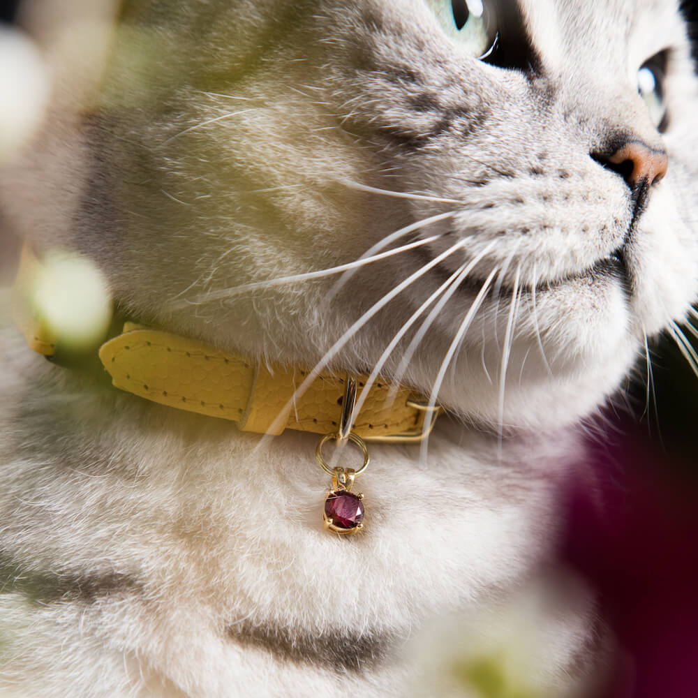 Cat Collar Charm - Ruby Gem - Cheshire & Wain