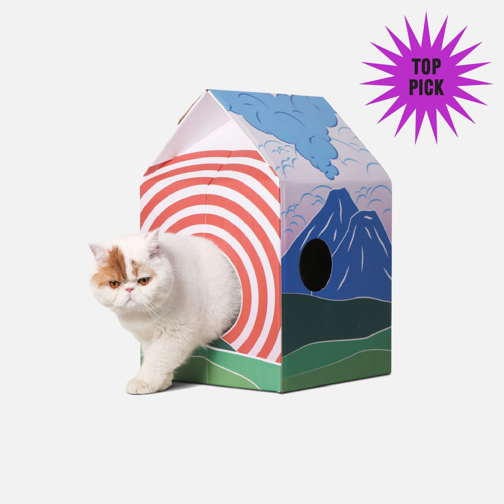 Cat House & Scratcher - Kawaii - Pidan