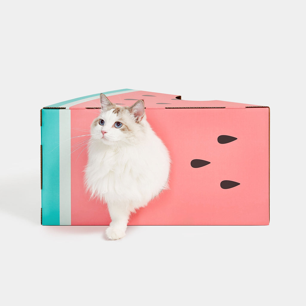 Cat House & Scratcher - Watermelon - Vetreska