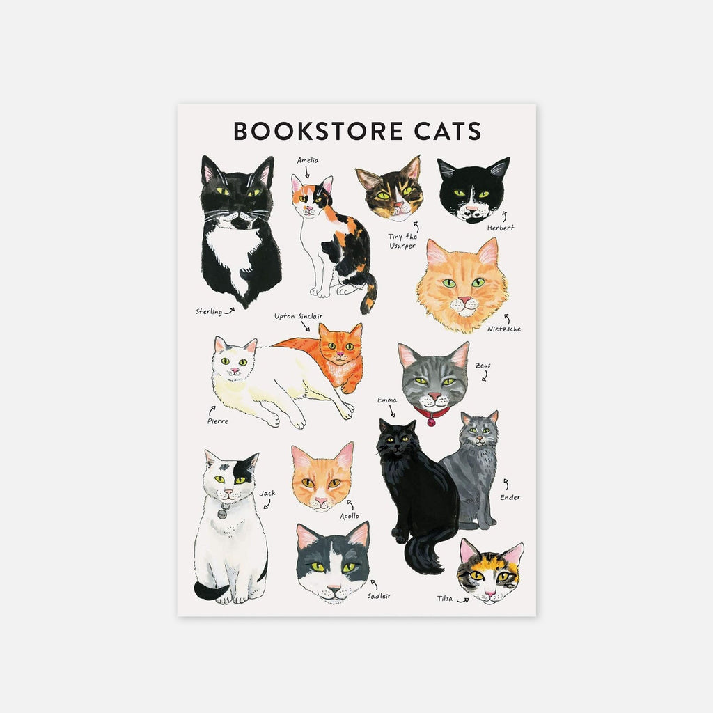 Cat Journal - Bookstore Cats - PDL / Book Reps