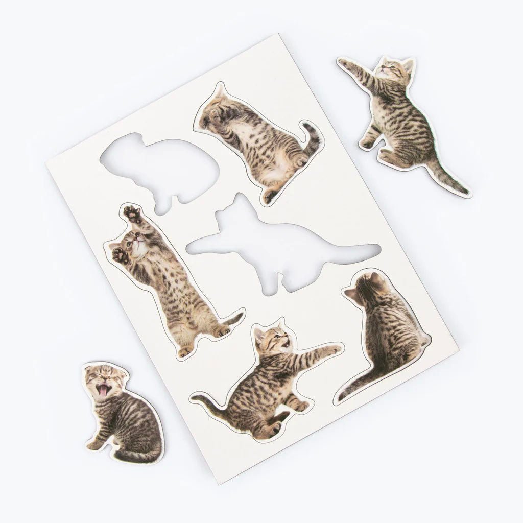 Cat Magnets - Action Cats Set of 12 - William Valentine