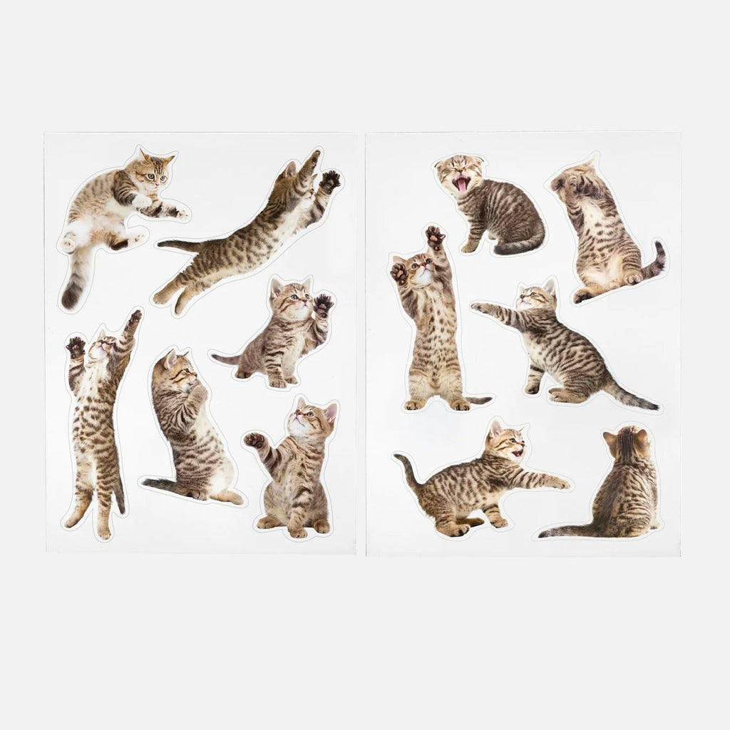 Cat Magnets - Action Cats Set of 12 - William Valentine