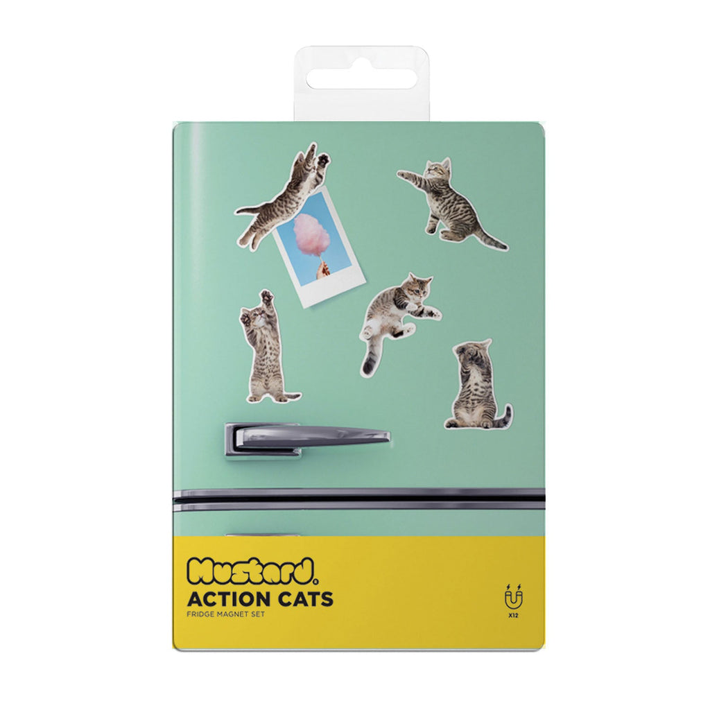 Cat Magnets - Action Cats Set of 12 - William Valentine