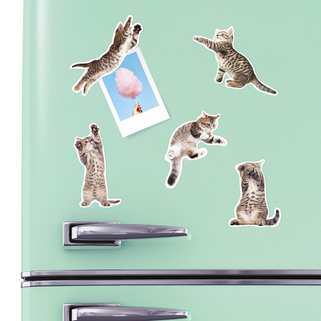 Cat Magnets - Action Cats Set of 12 - William Valentine