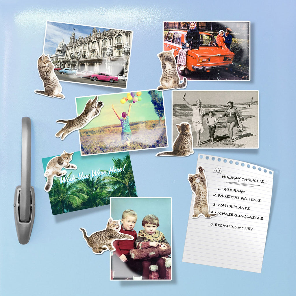 Cat Magnets - Action Cats Set of 12 - William Valentine