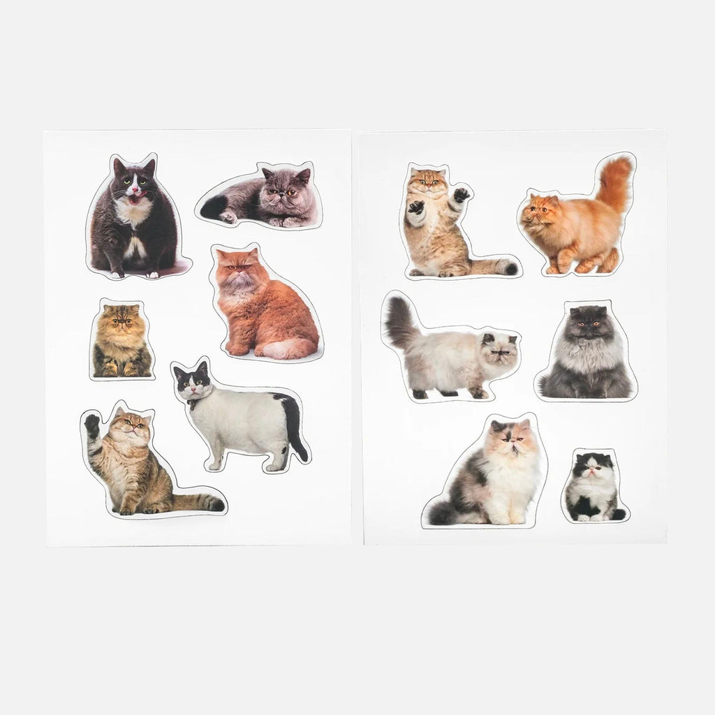 Cat Magnets - Fat Cats Set of 12 - William Valentine