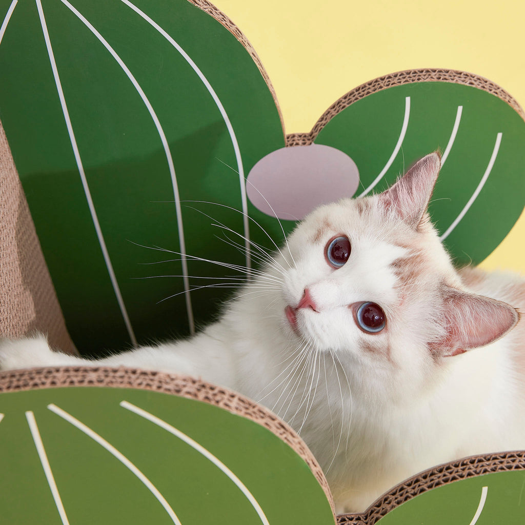 Cat Scratcher - Cardboard Cactus - Vetreska