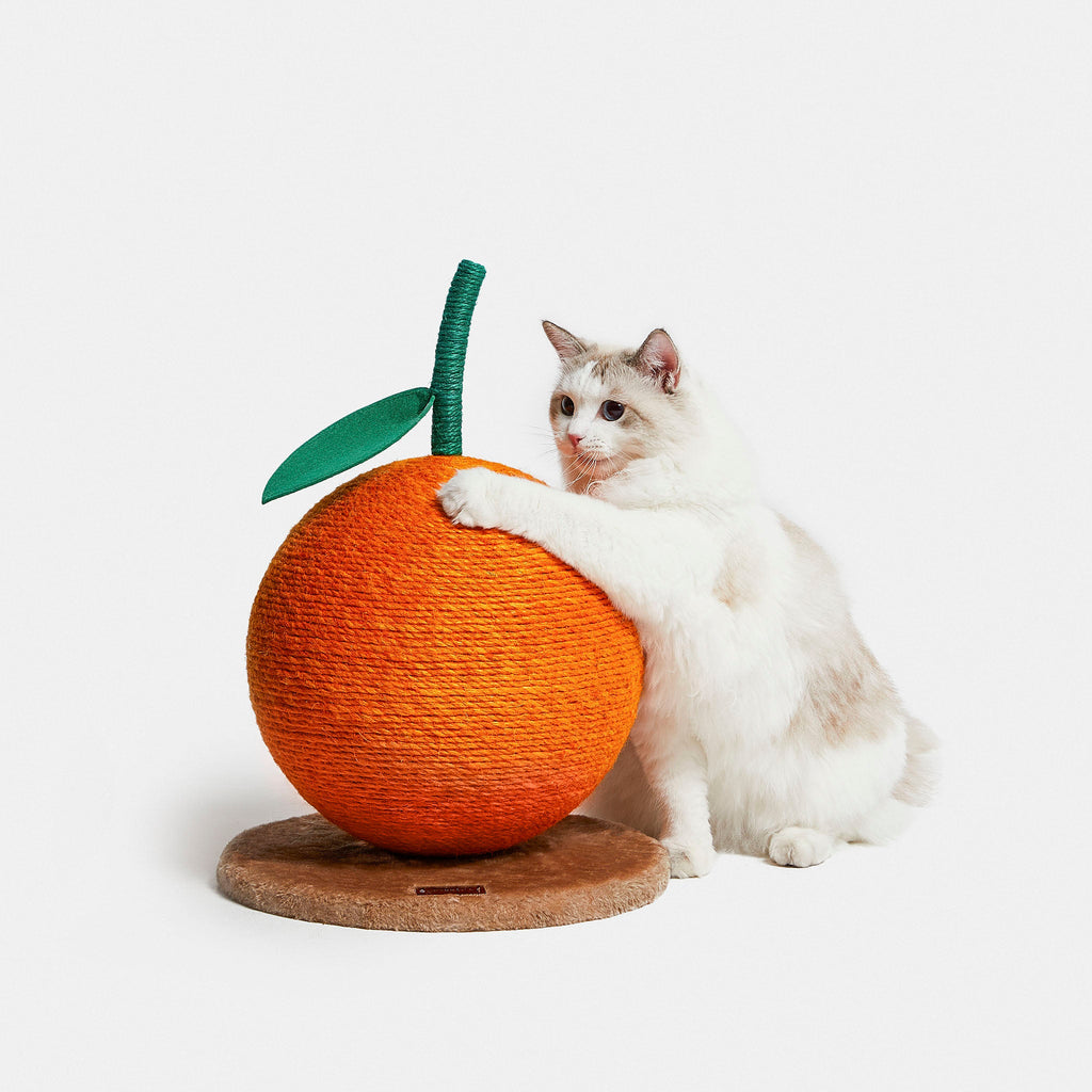 Cat Scratcher - Tangerine Ball - Vetreska
