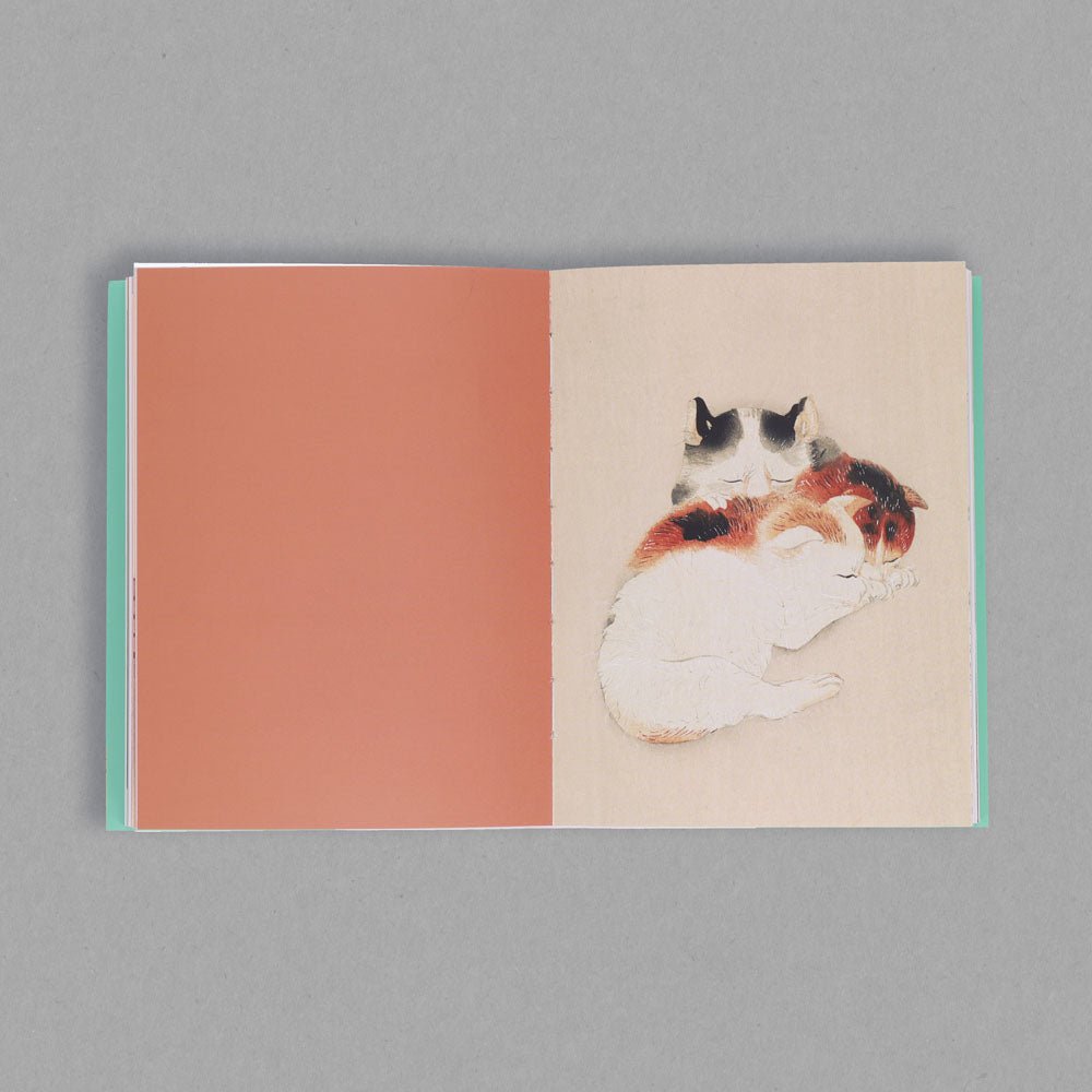 Cats in Spring Rain - PDL / Book Reps