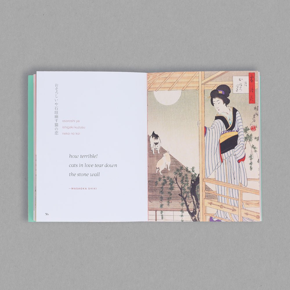 Cats in Spring Rain - PDL / Book Reps