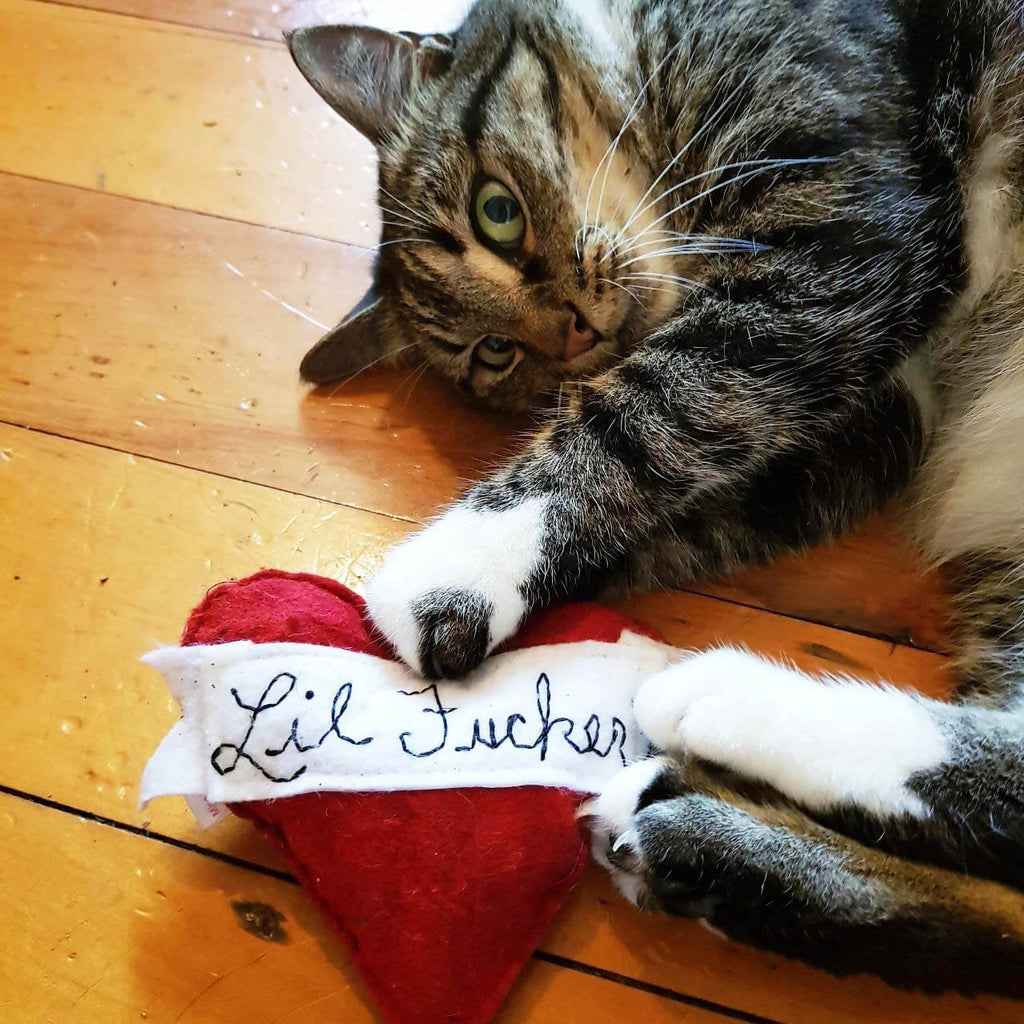 Organic Catnip Toy - Lil Fucker Felt Heart - Miso Handmade