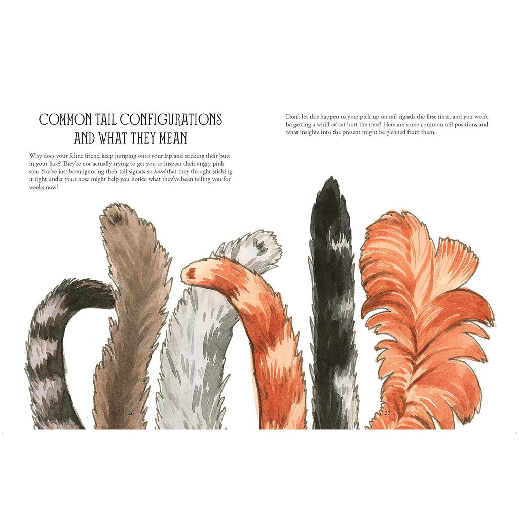 Pawmistry - Unlocking the Secrets of the Universe with Cats - Fang & Fur
