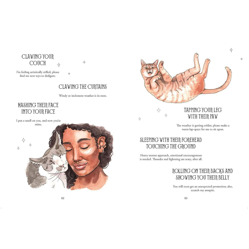 Pawmistry - Unlocking the Secrets of the Universe with Cats - Fang & Fur