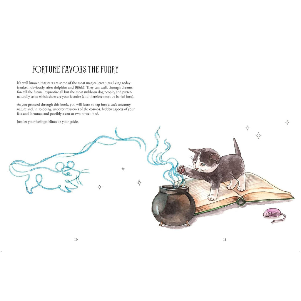 Pawmistry - Unlocking the Secrets of the Universe with Cats - Fang & Fur