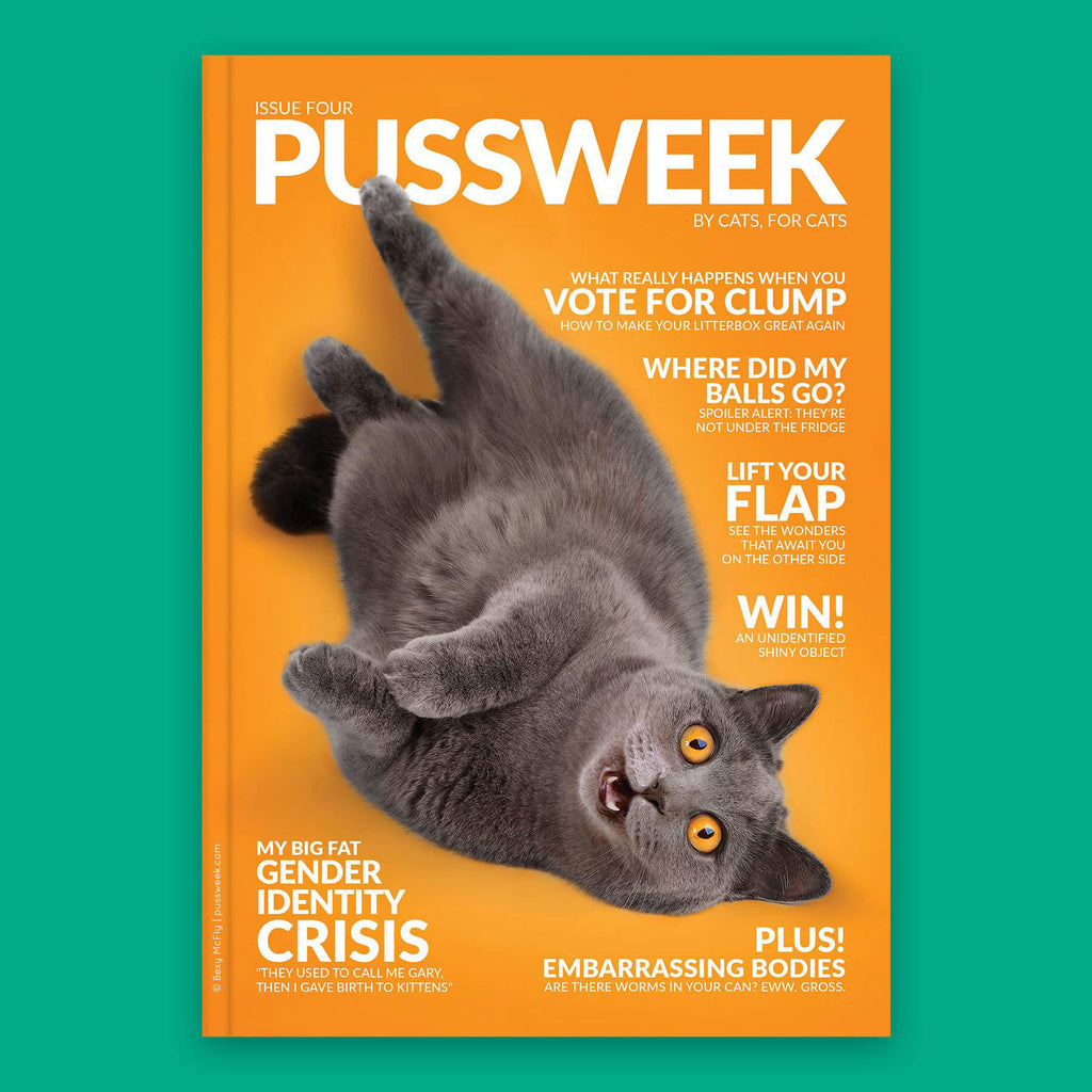 Pussweek - Issue 4 - Pussweek