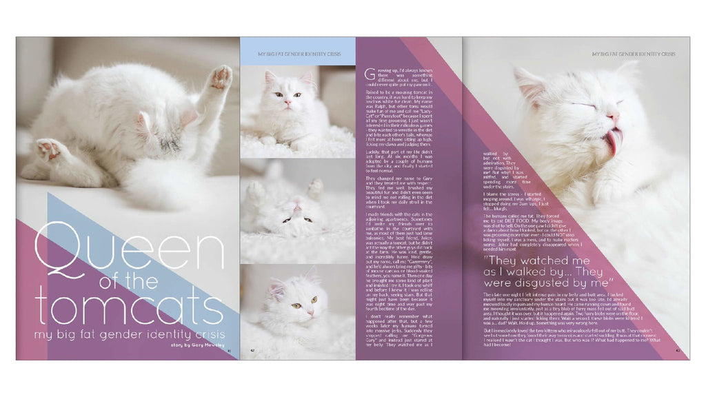 Pussweek - Issue 4 - Pussweek