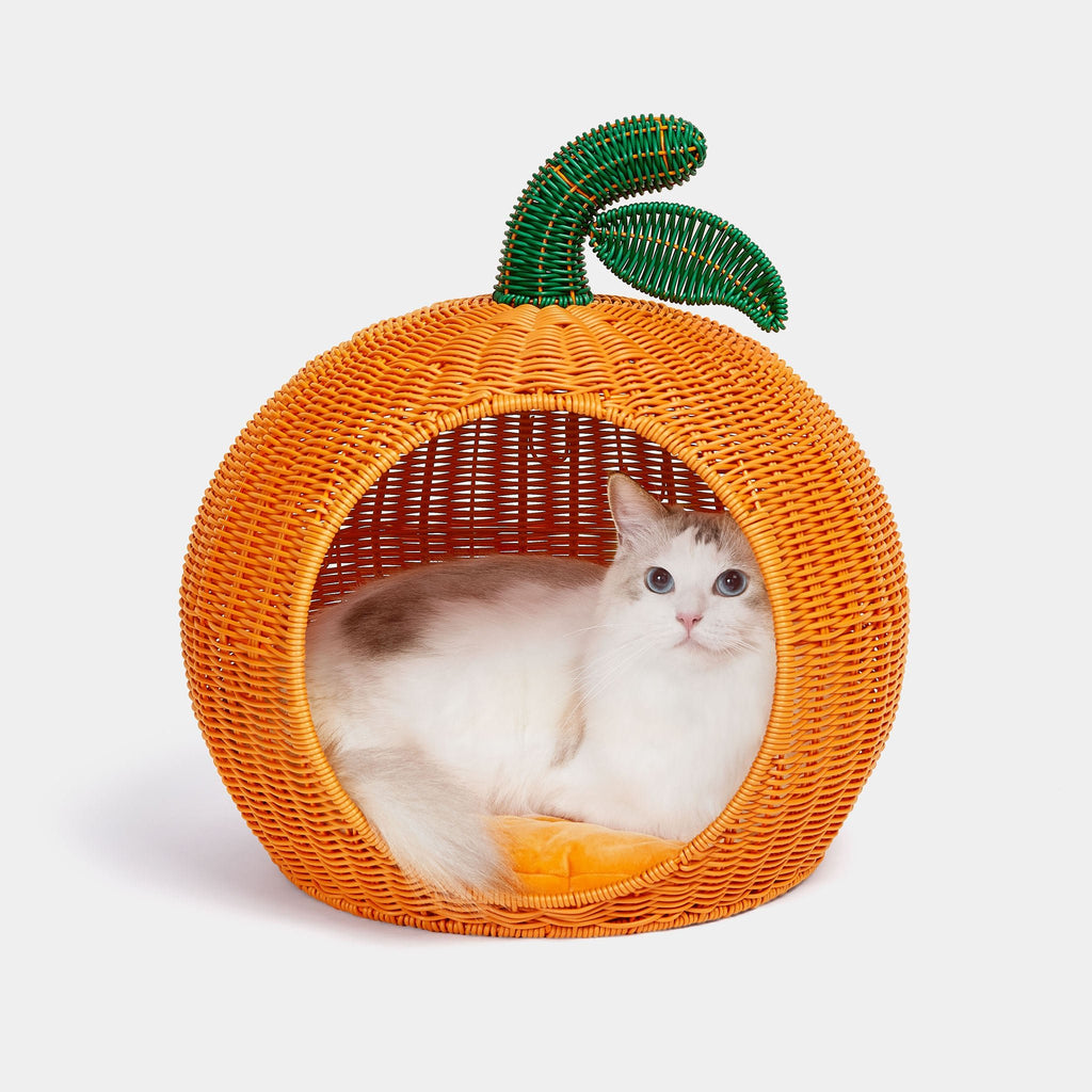 Rattan Cat Bed - Tangerine - Vetreska