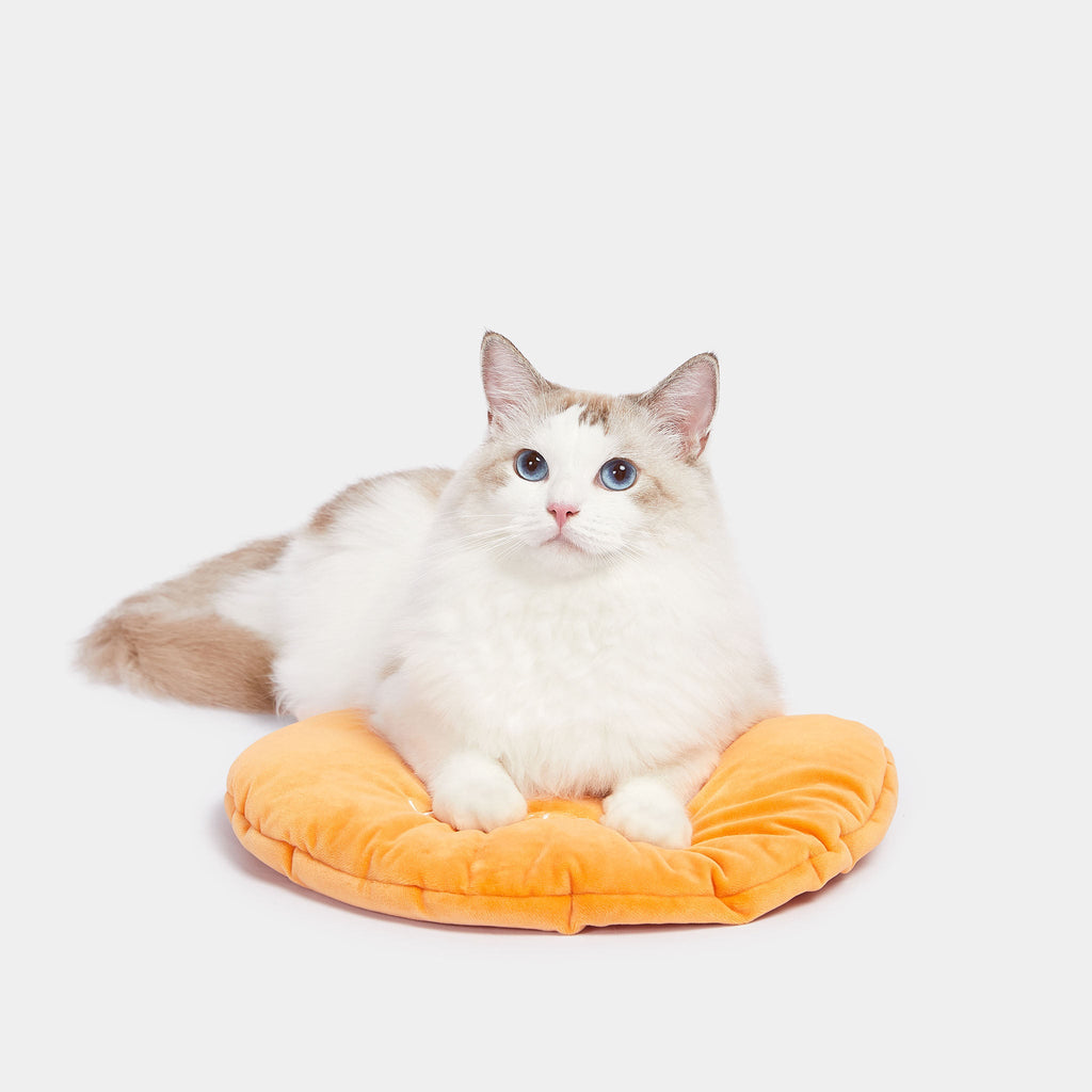 Rattan Cat Bed - Tangerine - Vetreska