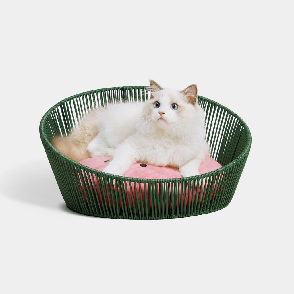 Rattan Cat Bed - Watermelon - Vetreska