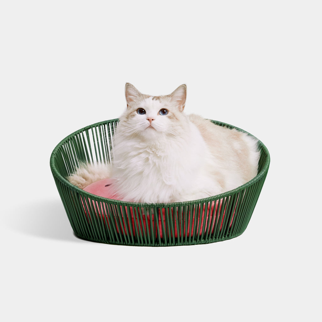 Rattan Cat Bed - Watermelon - Vetreska