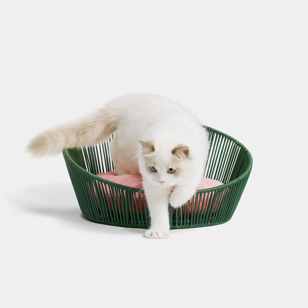 Rattan Cat Bed - Watermelon - Vetreska