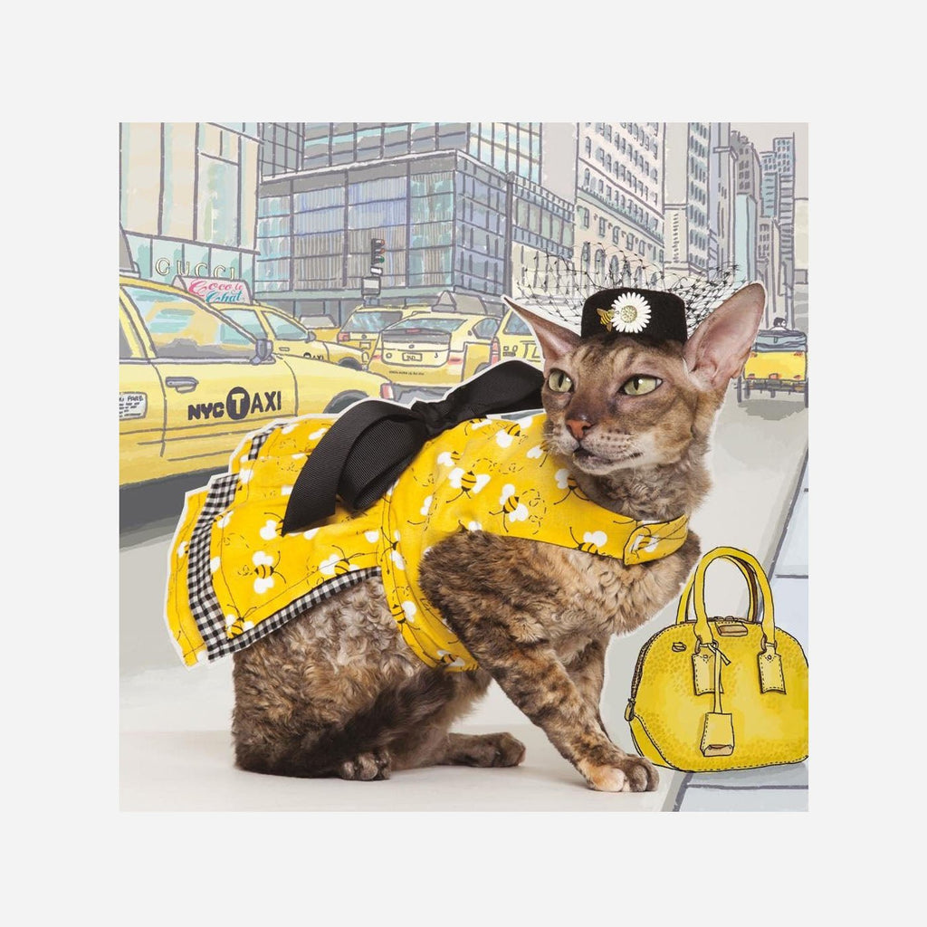 The Adventures of Coco le Chat: The World's Most Fashionable Feline (Pet Refuge Fundraiser) - Fang & Fur