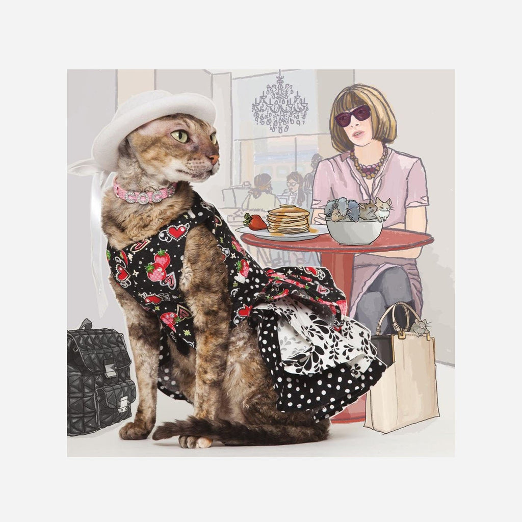 The Adventures of Coco le Chat: The World's Most Fashionable Feline (Pet Refuge Fundraiser) - Fang & Fur